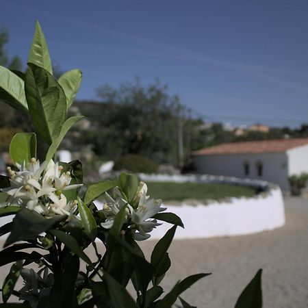 Cosy Farmhouse Quinta Da Eira 140 Years Old โลว์เล ภายนอก รูปภาพ