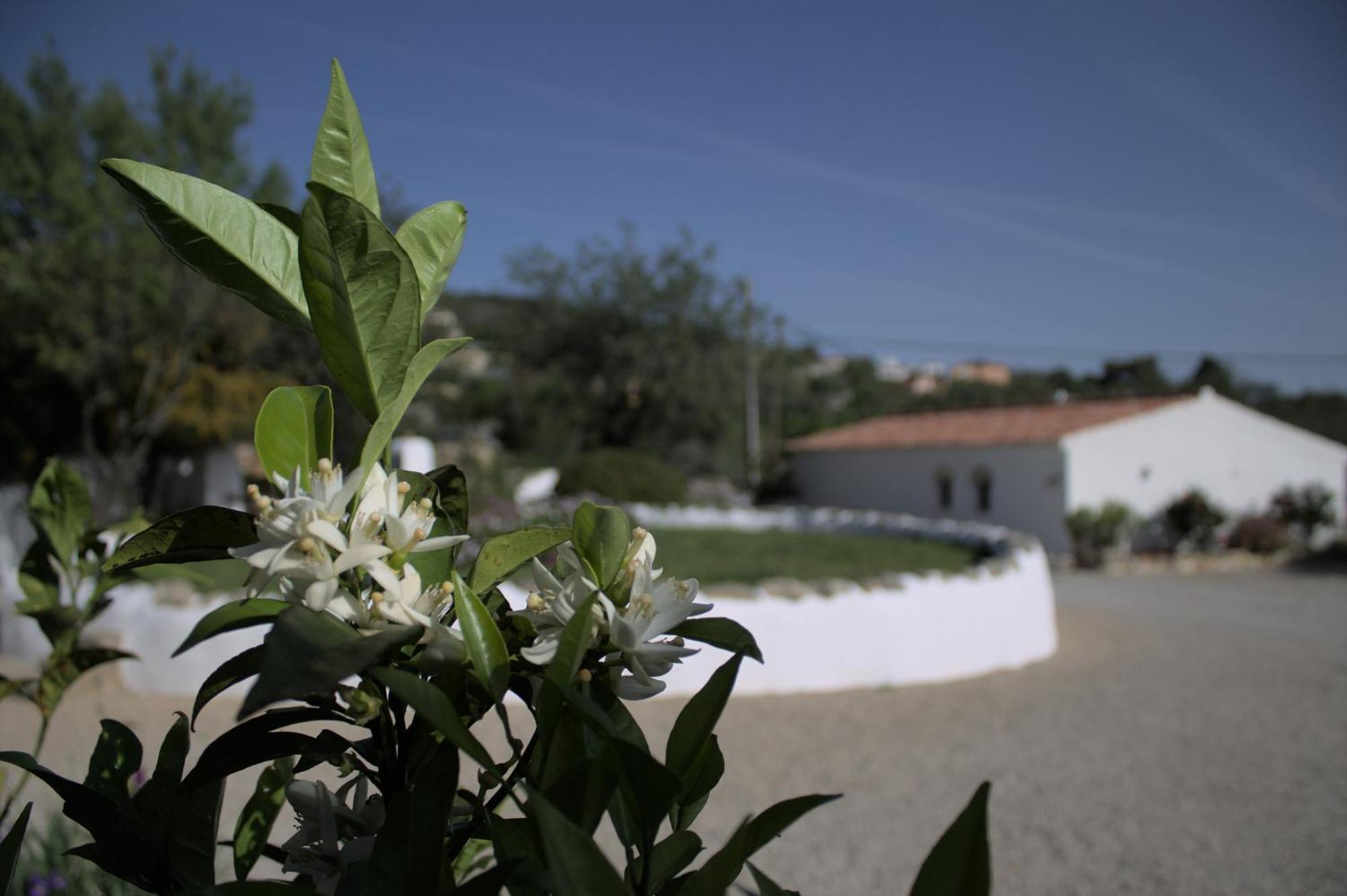 Cosy Farmhouse Quinta Da Eira 140 Years Old โลว์เล ภายนอก รูปภาพ